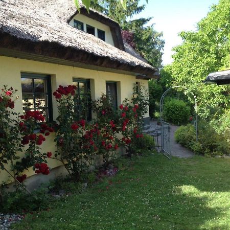 Appartamento Urlaub Unter Reet Bergen Auf Rugen Esterno foto