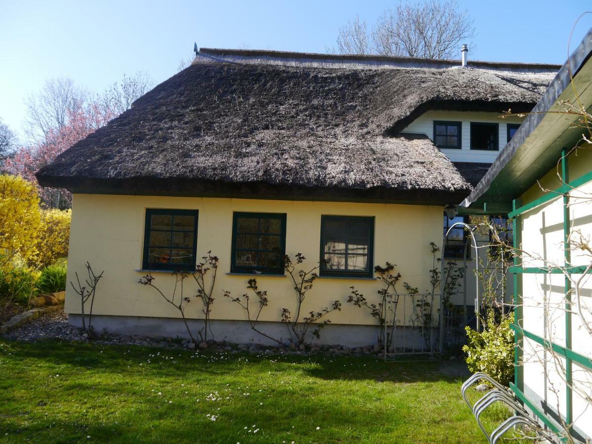 Appartamento Urlaub Unter Reet Bergen Auf Rugen Esterno foto